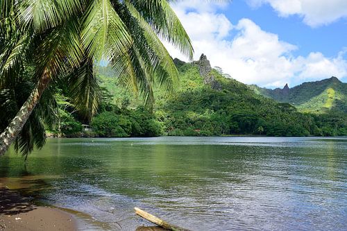 True paradise