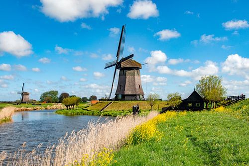 Molens op dijk aan de waterkant.