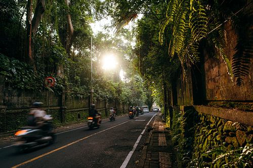 Ubud en Mouvement