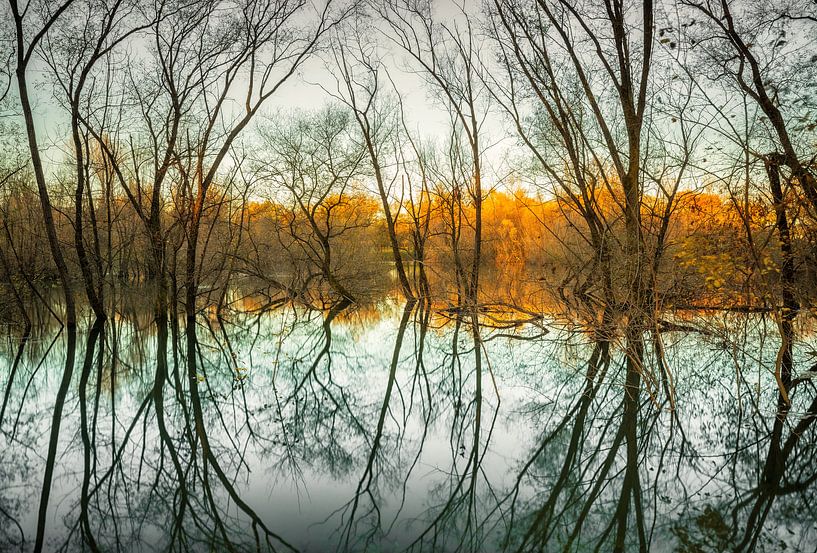 Gradski Park Bundek - Zagreb (Croatie) par Marcel Kerdijk