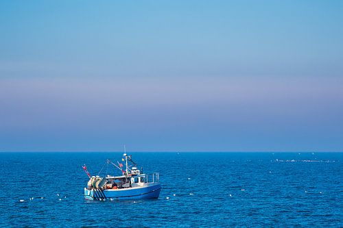 Fishing boat with seagulls on the Baltic Sea in front of Warnemünde