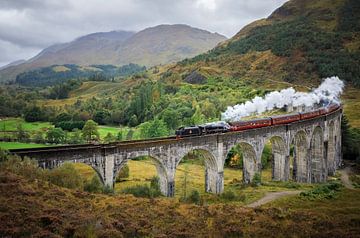 Le train Harry Potter passe sur un viaduc emblématique sur Krijn van der Giessen