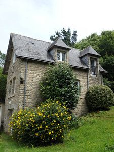 Huis met bloemenstruik