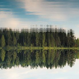 Een kwestie van perspectief van Elke van Putten