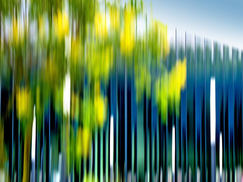 Bastion of movement III by Saskia Nelissen