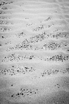 Motif et texture de sable avec des pierres en noir et blanc. sur Christa Stroo photography