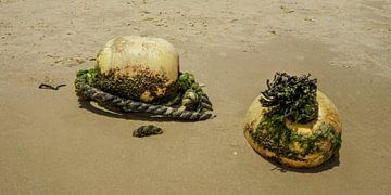 Buoys on the Beach. by Alie Ekkelenkamp