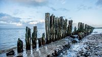 Paesens Moddergat Pfähle im Wattenmeer