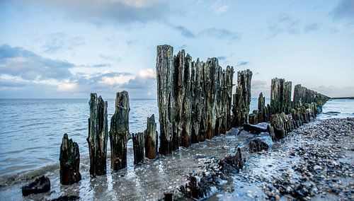 Pieux Paesens Moddergat dans la mer des wadden