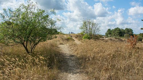 Den Haag, mooie stad achter de duinen