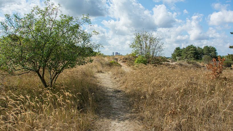 The Hague, beautiful city behind the dunes by Marian Sintemaartensdijk