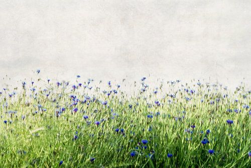 Danse des fleurs - Flowerdance