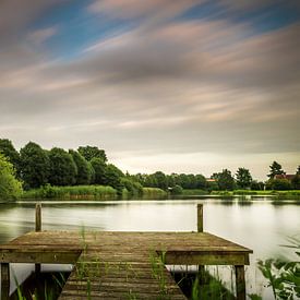 Uitzicht op de grote rietplas in park Sandur van Kim Bellen