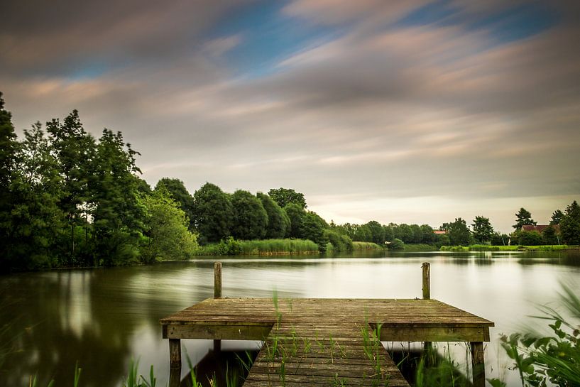 Uitzicht op de grote rietplas in park Sandur van Kim Bellen