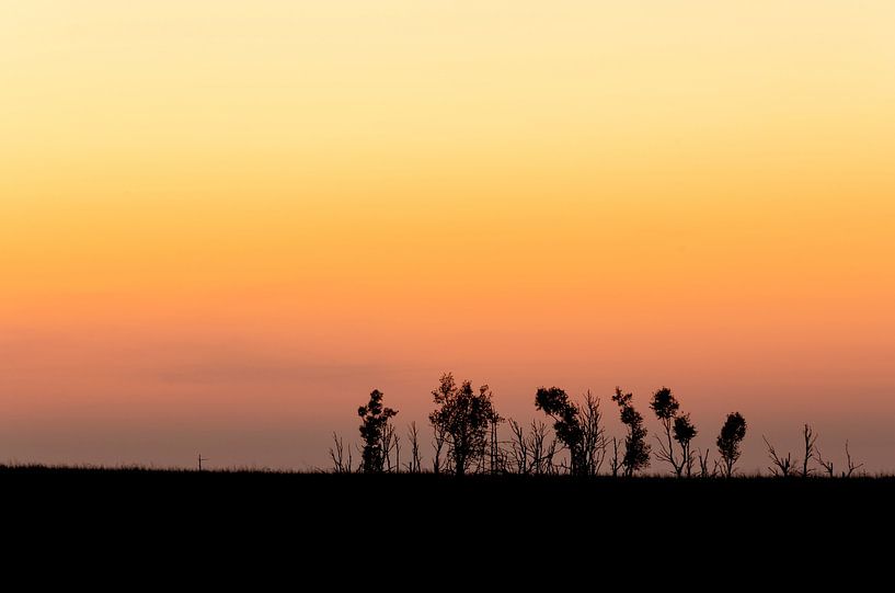 Sunset in the High Fens (Belgium) by Hans Debruyne