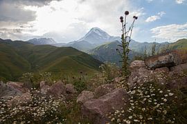 Bergen von Anne-Marie Vermaat