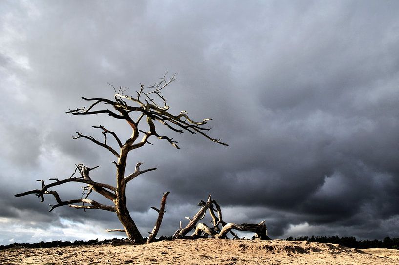 Rain on the way by Paul Arentsen