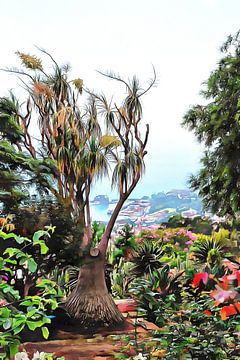 Uitzicht op de botanische tuin van Dorothy Berry-Lound