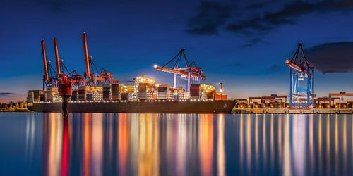 Hamburg Container Terminal in de haven van Hamburg