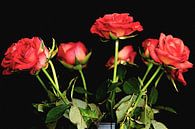 Strauß roter Rosen von Fotografie Jeronimo Miniaturansicht