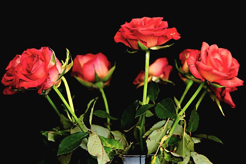 Strauß roter Rosen von Fotografie Jeronimo
