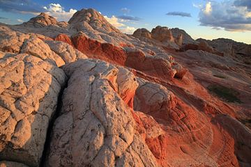 White Pocket, Vermilion Cliffs National Monument, Arizona van Frank Fichtmüller