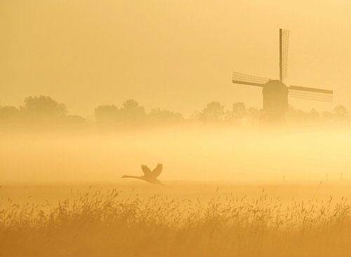 early bird van Annemieke van der Wiel