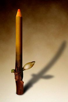 Le printemps se dessine 1/4