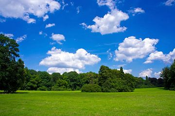 Parklandschaft in Köln von Martina Weidner