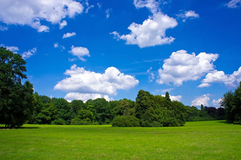 Parklandschaft in Köln von Martina Weidner