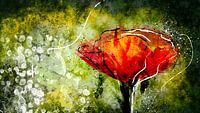 Special Flower