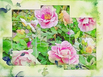 Zachte rozenfragmenten van Dorothy Berry-Lound