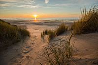 Ondergaande zon in de duinen