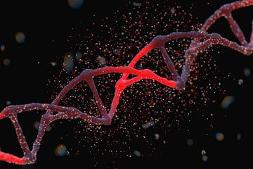 DNA-streng van Rainer Zapka