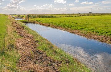 Large fossé dans la réserve naturelle de Korendijkse Slikken, Goudswaard sur Ruud Morijn