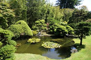 Japanischer Garten Teich
