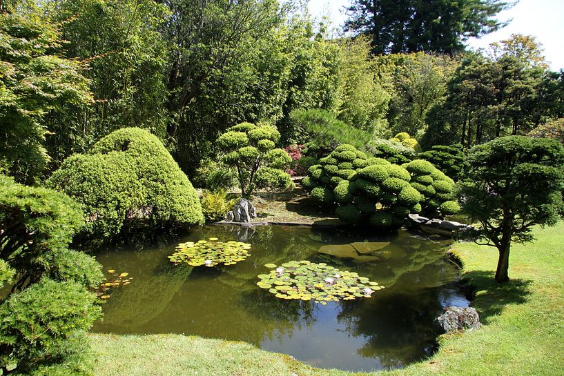 Japanischer Garten Teich von Christiane Schulze