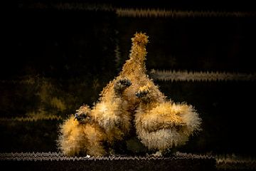 Knautschiges Huhn von Jeannette Fotografie