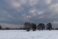winter landscape