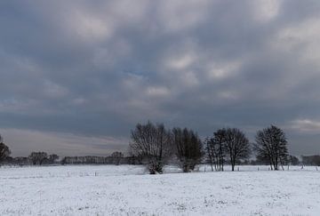 winter landscape van Koen Ceusters