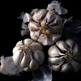Garlic still life by SO fotografie