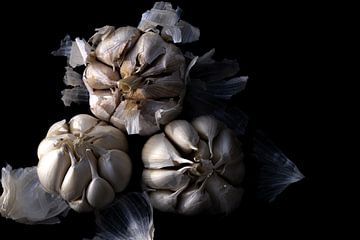 Garlic still life