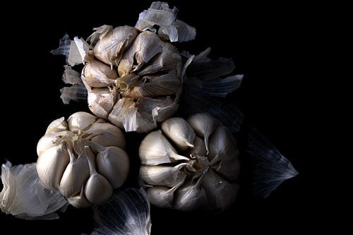 Knoflook stilleven