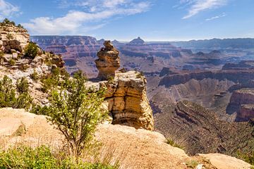 GRAND CANYON Eend op een rots uitkijkpost van Melanie Viola