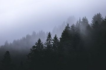 Forêt brumeuse en Autriche | montagnes brumeuses | couleurs froides | humeur sur Laura Dijkslag