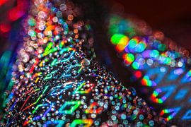 Folie Kunst von Rob Boon