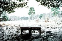 Wintermärchen