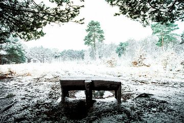 Wintersprookje van Dina-Artphoto