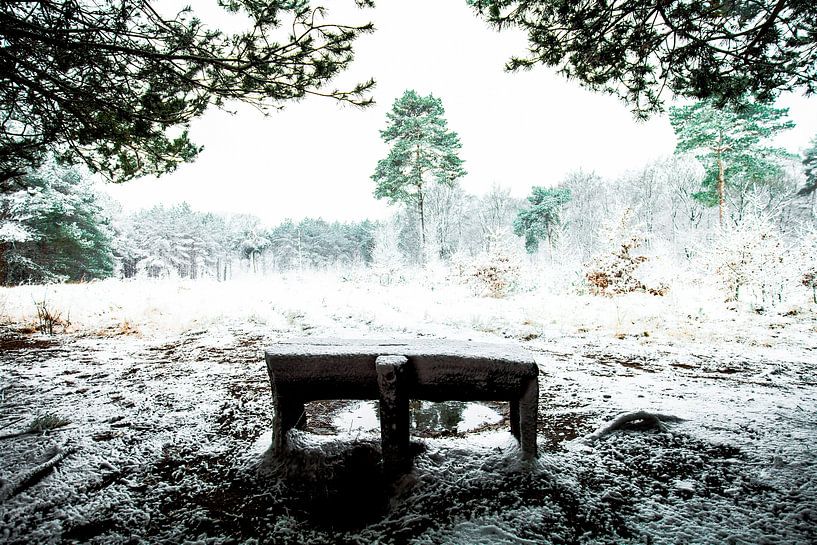 Wintermärchen von Dina van Vlimmeren