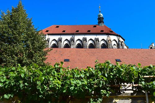 Kerk in Praag, Tsjechië, met wijnranken op de voorgrond, tegen strakblauwe lucht in de zomer